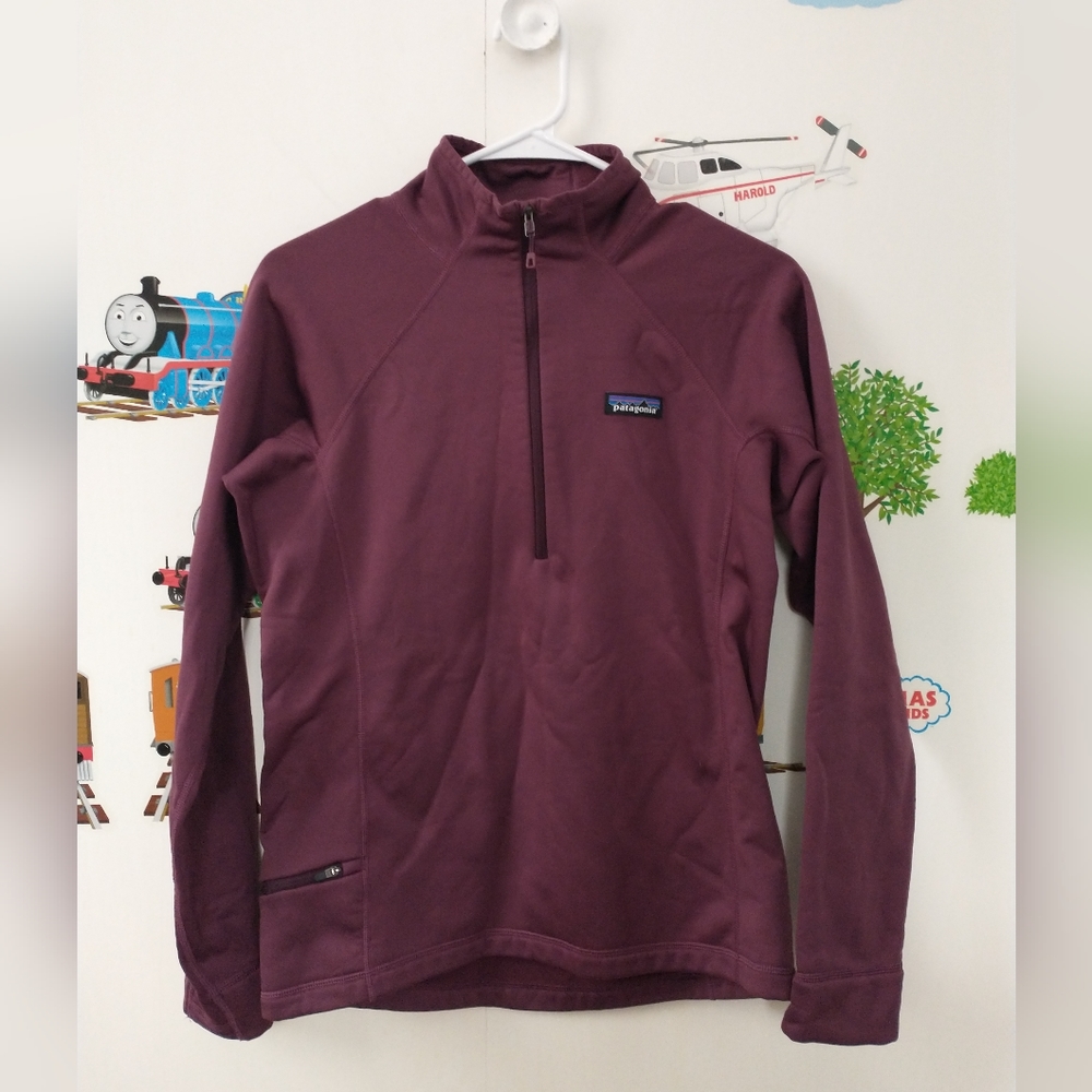 Patagonia polartec fleece sweatshirt
